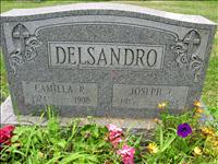 Delsandro, Joseph T. and Camilla R.jpg